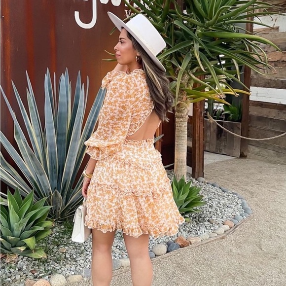 VICI Spring/Summer Dress SZ L - Picture 2 of 3